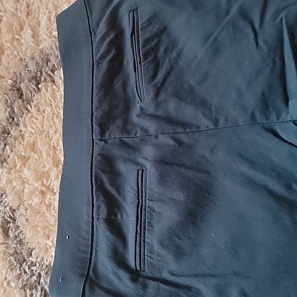 Women's Pixie Pant- size medium short - Picture 4 of 5